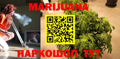 прущие грибы Пушкино