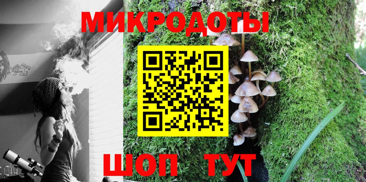 Галлюциногенные грибы Psilocybine cubensis Орёл