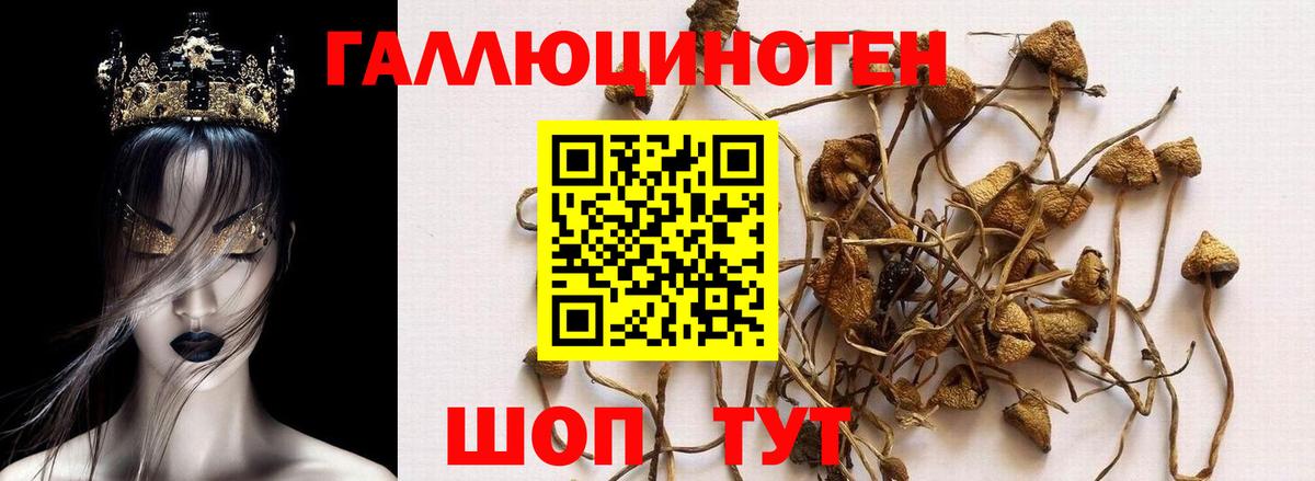 Галлюциногенные грибы MAGIC MUSHROOMS  Галлюциногенные грибы ЛСД  Орёл  магазин продажи   Вход с VPN 